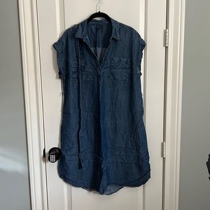 Gap Maternity Denim Dress